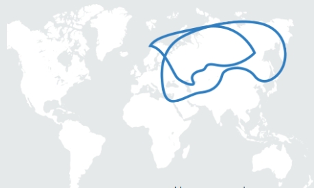 Карта охвата Интернет НТВ ПЛЮС